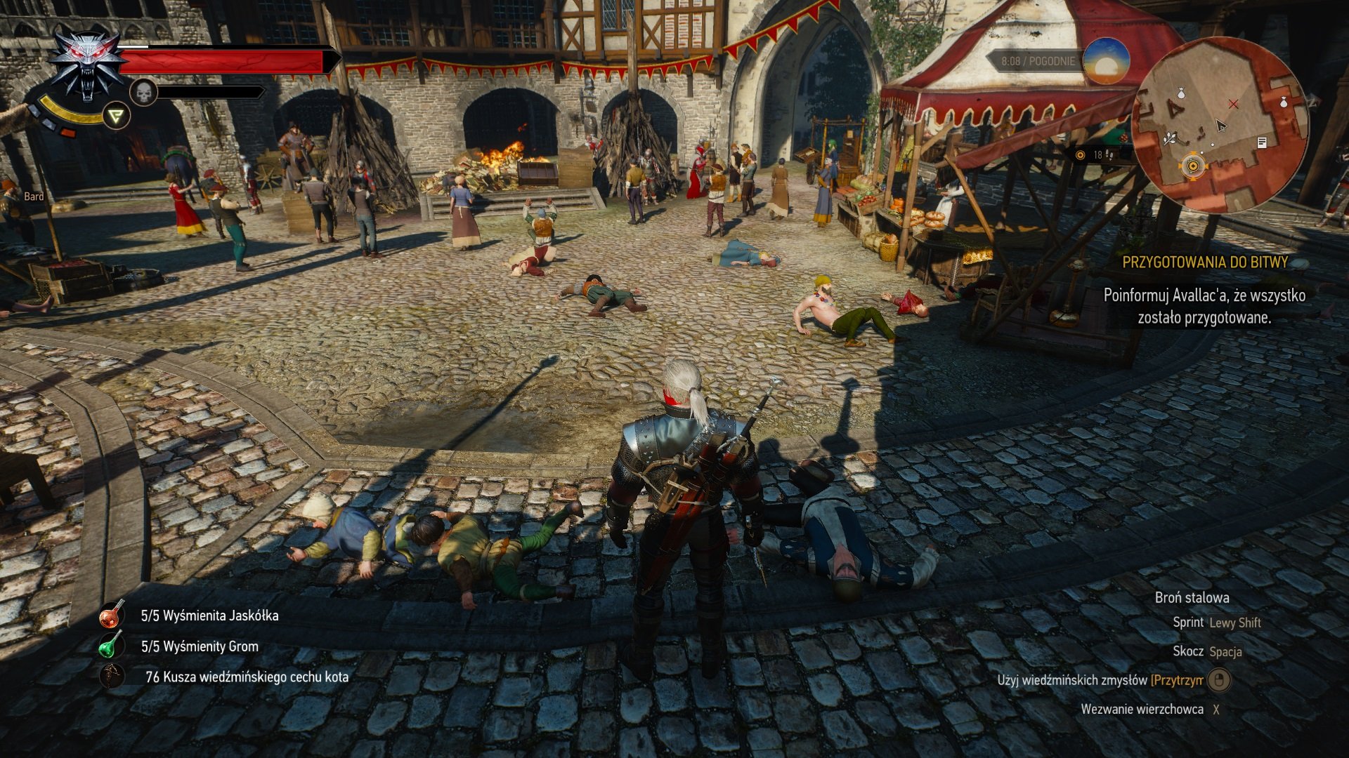 巫师3：狂猎 截图14